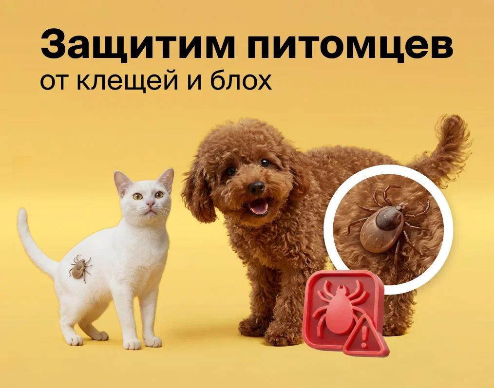 Скидки до 35% на средства защиты от клещей в "4 лапы"
