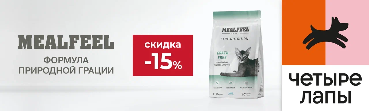 Сухой корм для кошек Mealfeel со скидкой 15%.