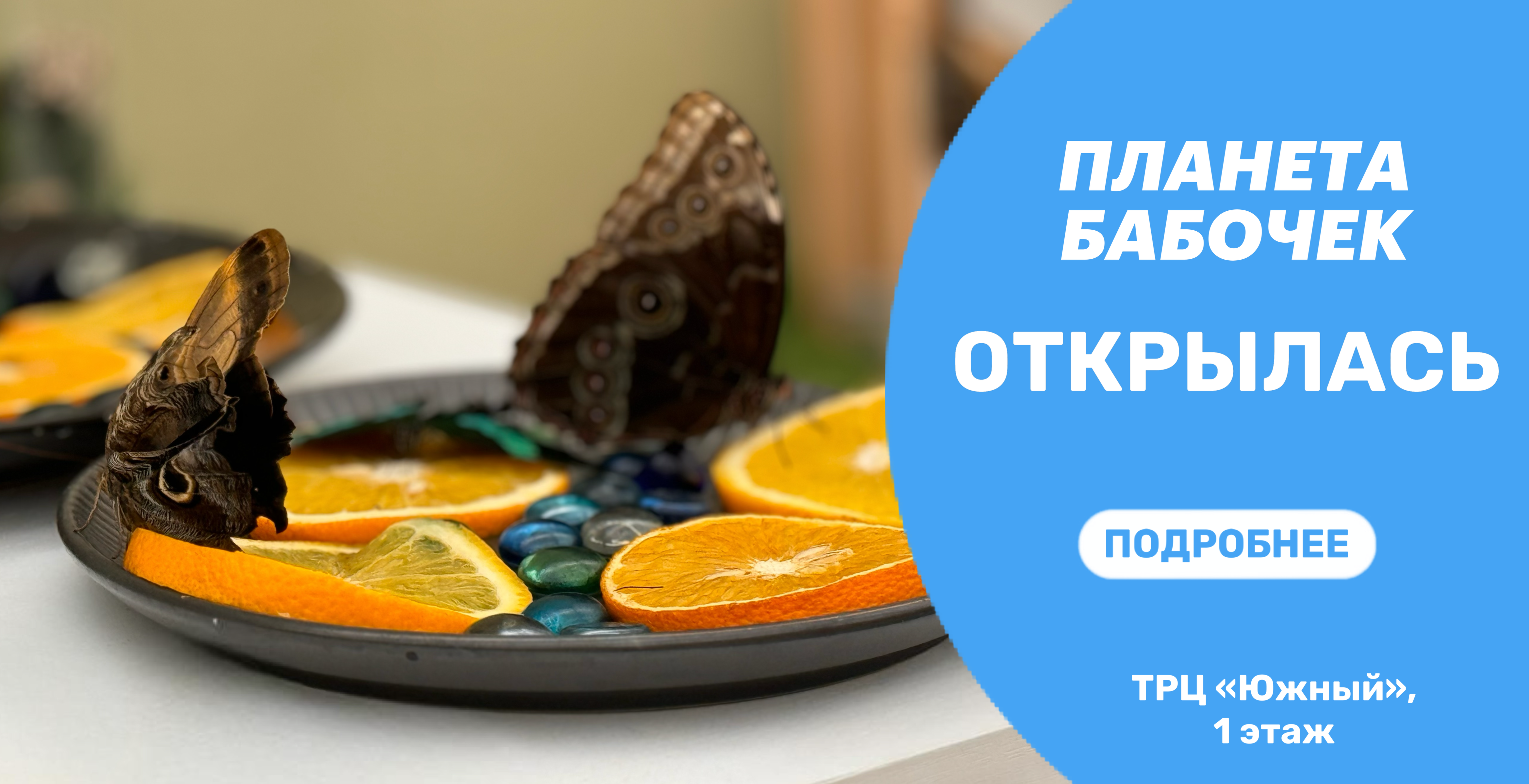 "Планета бабочек" в ТРЦ "Южный"