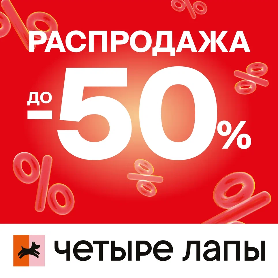 Распродажа в "Четыре лапы"