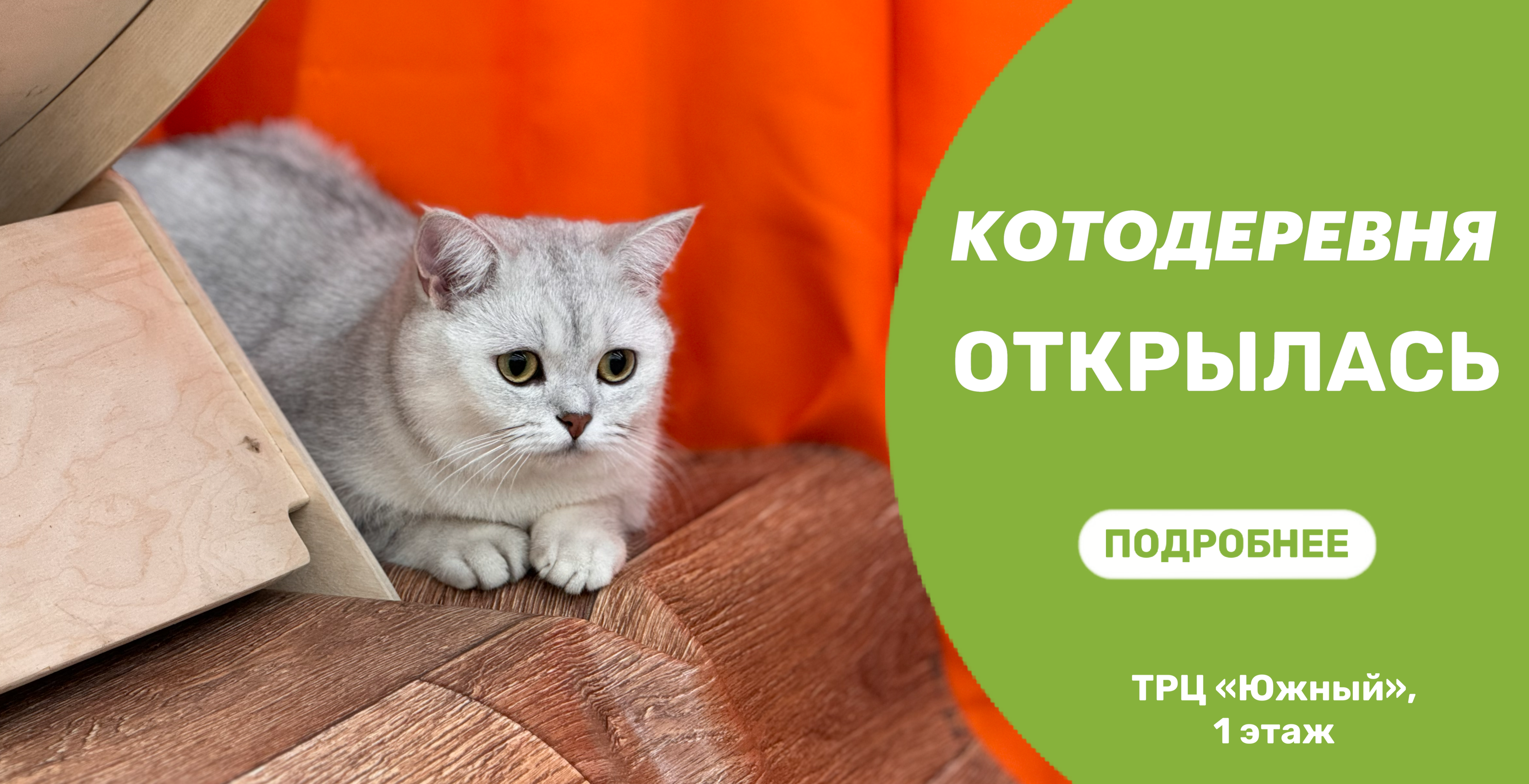 В ТРЦ "Южный" открылась Котодеревня