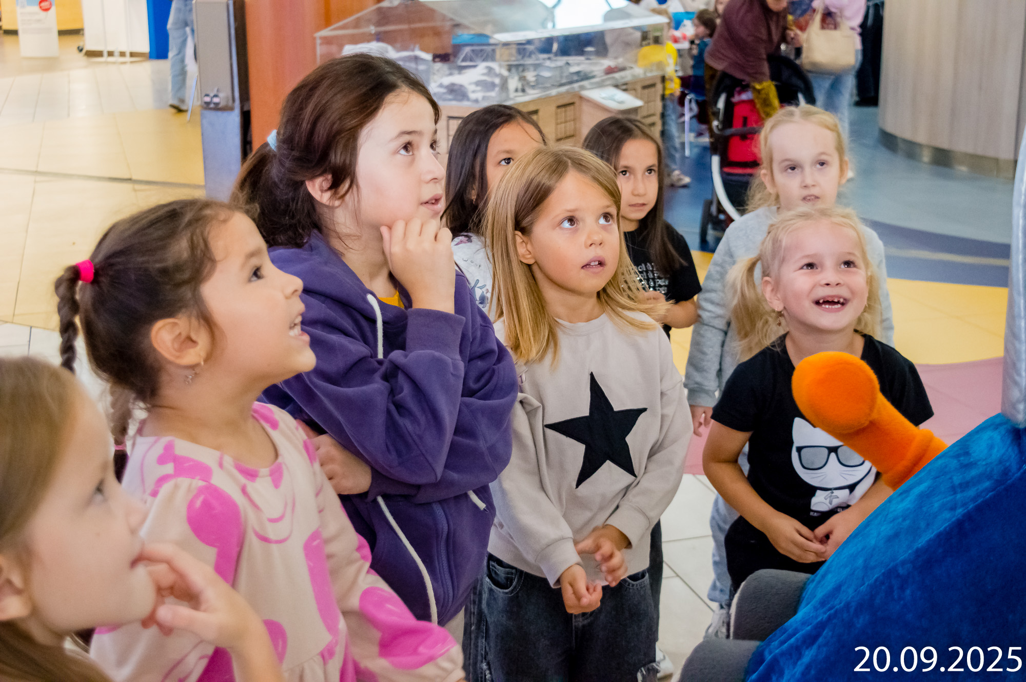 «Бой поваров»