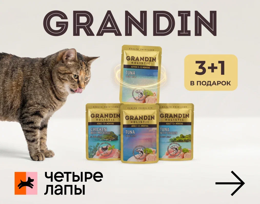 Четвертый пауч Grandin в подарок! 