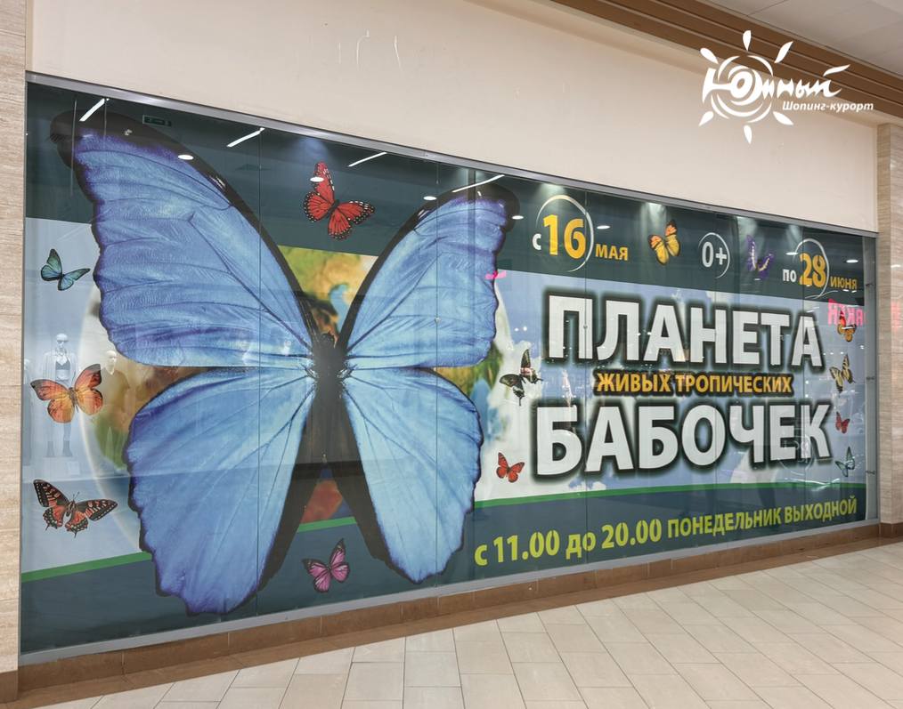 В ТРЦ "Южный" открылась "Планета бабочек"