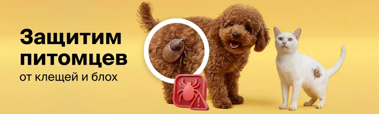 Скидки до 35% на средства защиты от клещей в "4 лапы"