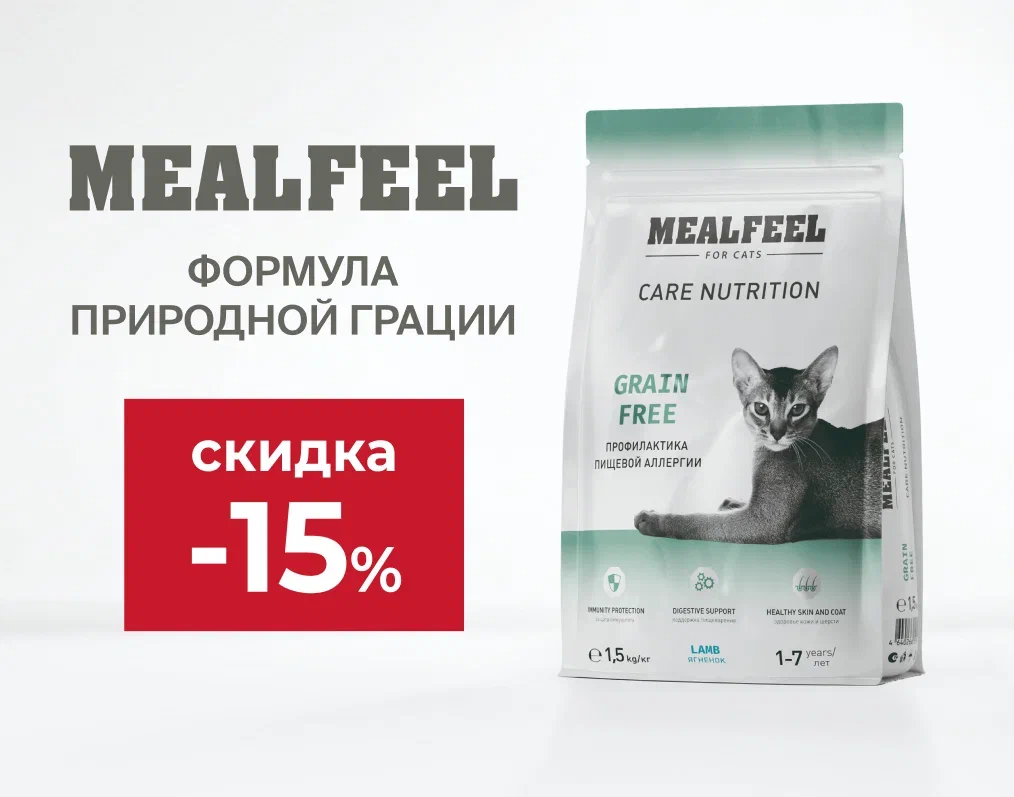 Сухой корм для кошек Mealfeel со скидкой 15%.